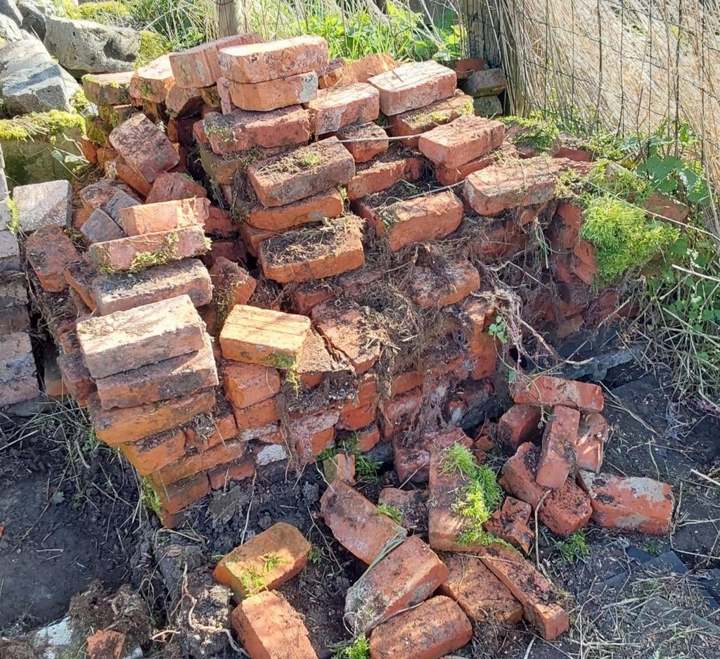 briques de récupération, non utilisées 19x9x5 cm, Enlèvement, Comme neuf, Briques