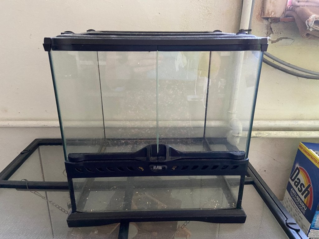 Klein terrarium, Dieren en Toebehoren, Ophalen, Zo goed als nieuw, Terrarium of Paludarium