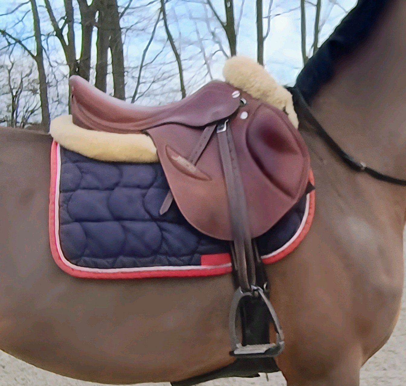 Erreplus JPro bruin, Dieren en Toebehoren, Ophalen, M (17 inch), Springen, Middel