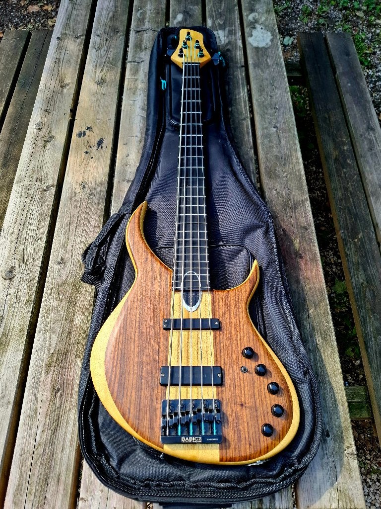 Meridian Aural II 5-snarige boutique bas (Bartolini, Babicz), Musique & Instruments, Instruments à corde | Guitares | Basses, Enlèvement ou Envoi