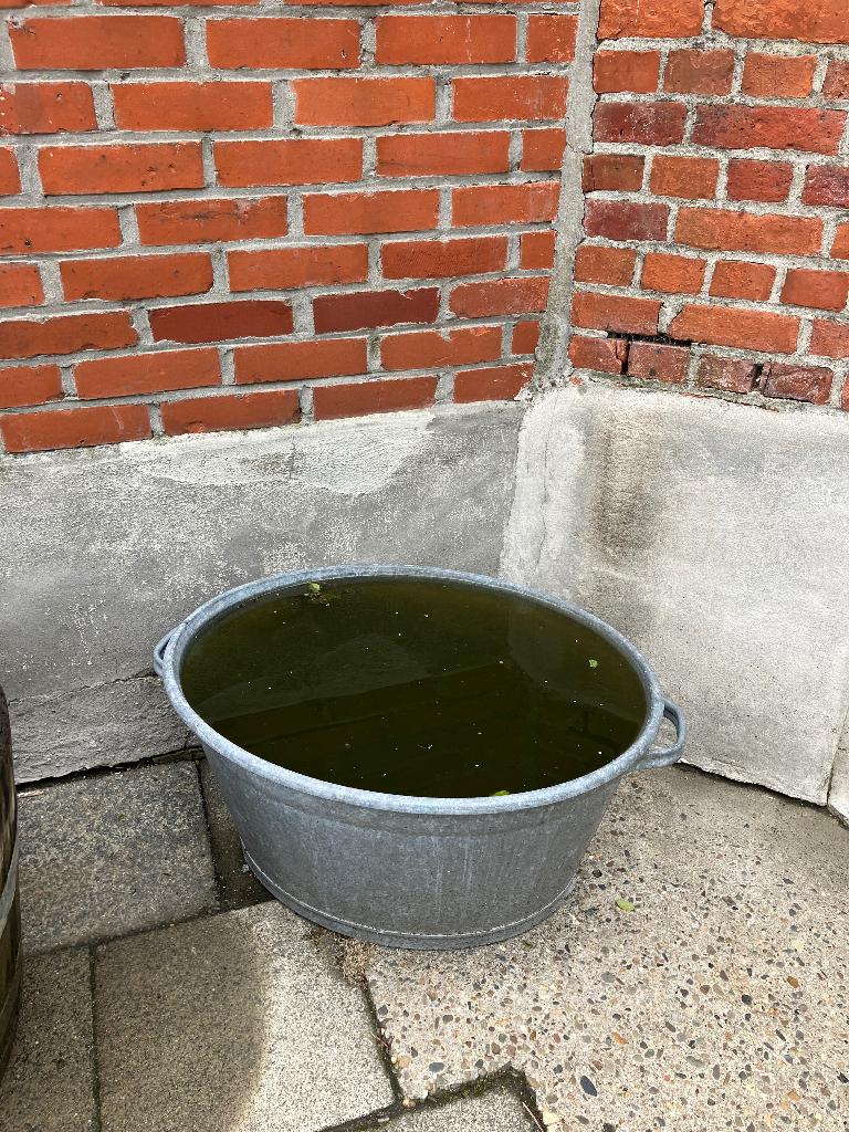 zinken bad, 75 tot 150 liter, Ophalen, Gebruikt, Metaal