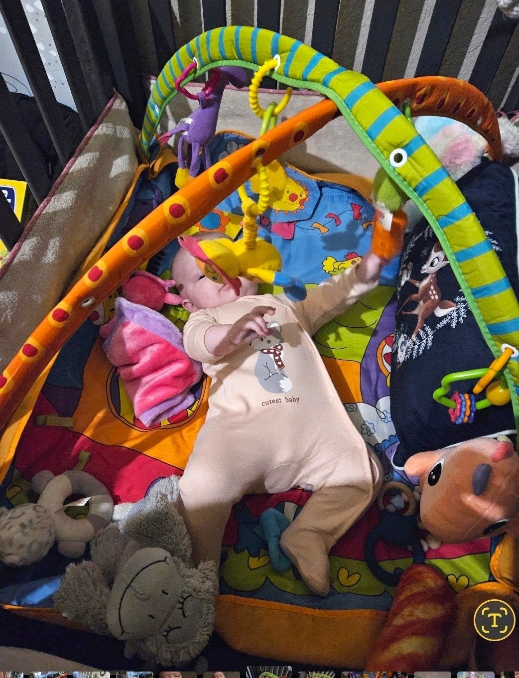 bijna volledige baby uitzet moet dringend weg, Kinderen en Baby's, Ophalen