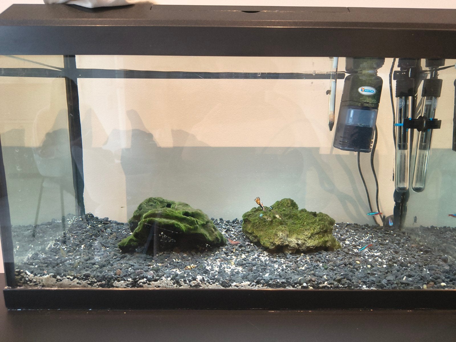 Aquarium toebehoren + vissen, Ophalen, Verwarming