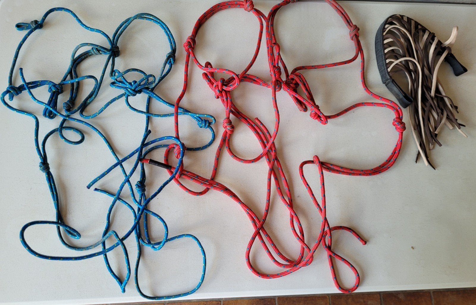 4 touwhalsters cob en 1 vliegenfrontriem, Animaux & Accessoires, Enlèvement ou Envoi, Frontal, Cob