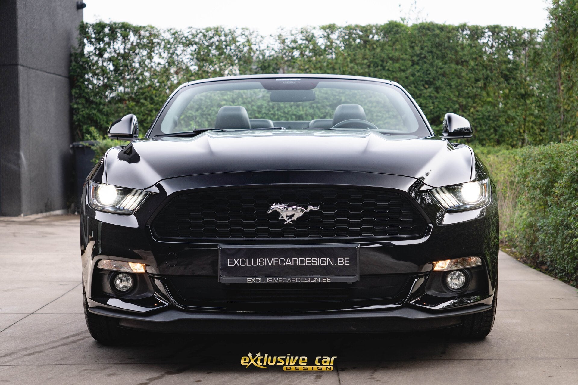 Ford Mustang Convertible 2.3i EcoBoost, Autos, Achat, Entreprise, Cabriolet, Noir