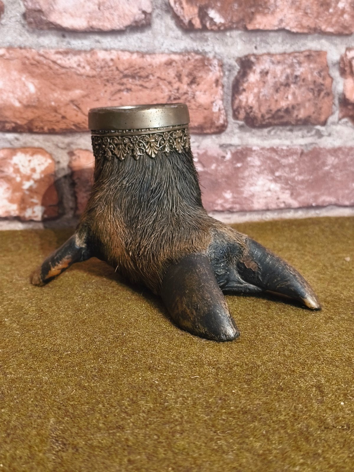 taxidermie curiosity sanglier, Enlèvement ou Envoi
