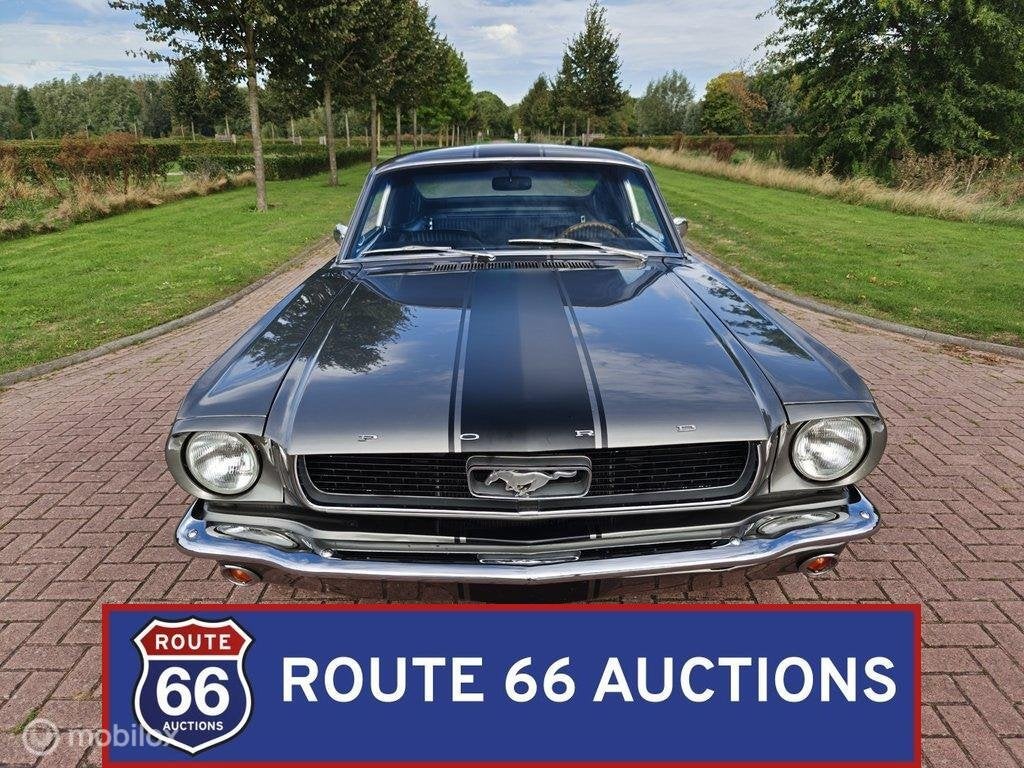Ford Mustang Fastback C-Code | 1966 | Route 66 Auctions, Achat, Entreprise, Boîte manuelle, Autre carrosserie