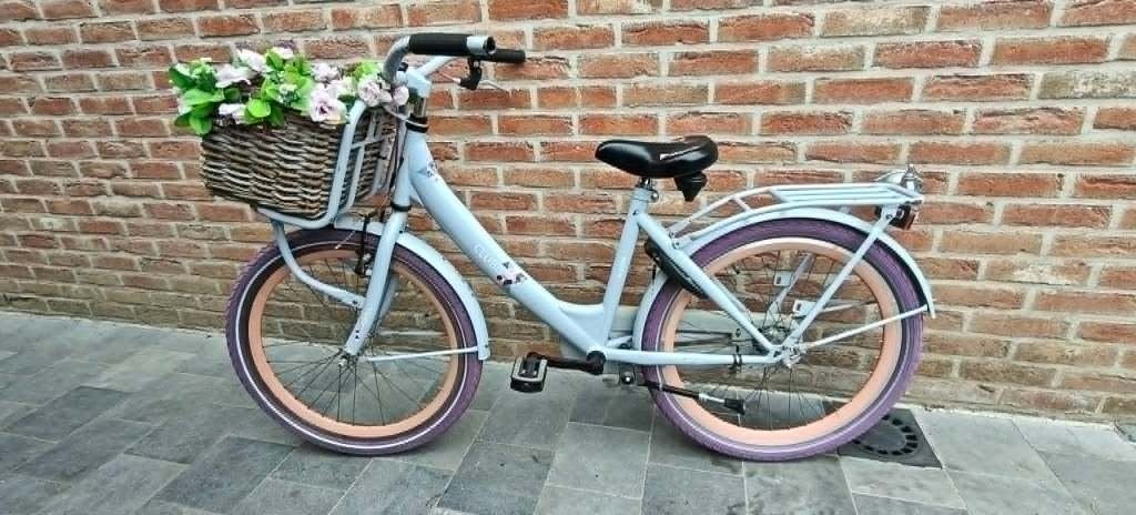 kinderfiets 22 inch, Fietsen en Brommers, Ophalen, Terugtraprem, 22 inch, Gebruikt