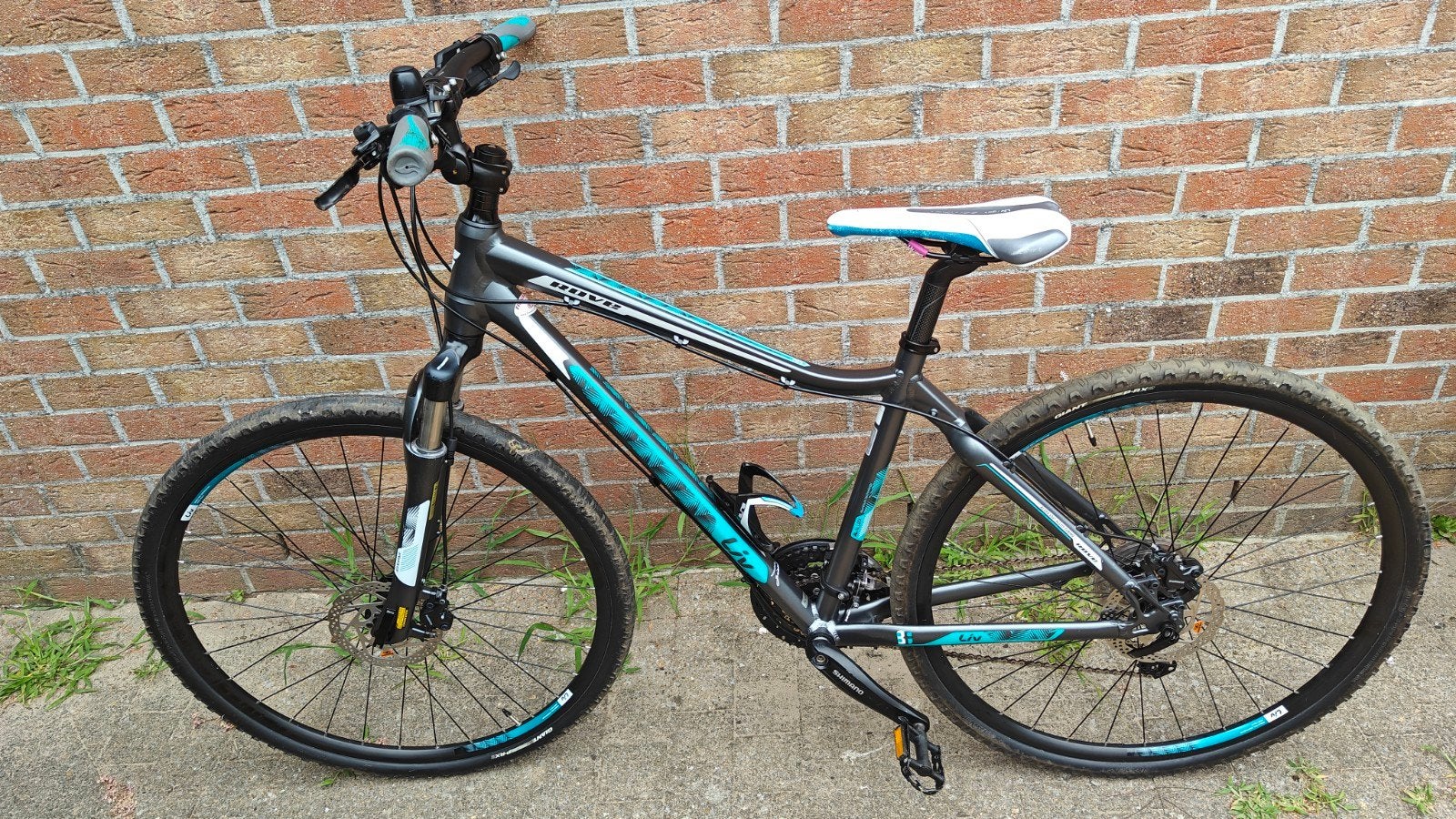 Mountainbike Giant Liv Rove 0, Ophalen, Zo goed als nieuw, Giant