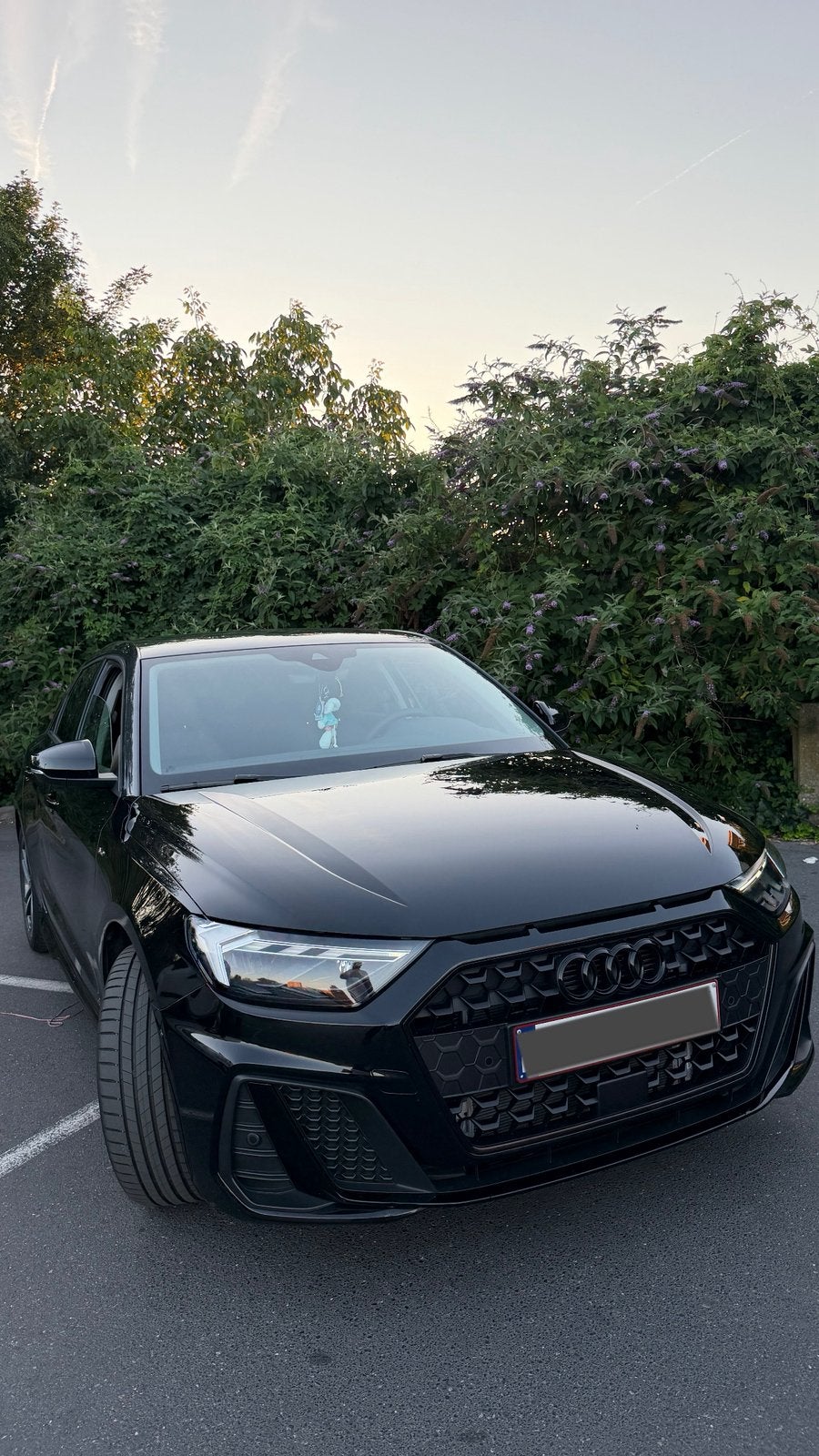 Révision à LED de l'Audi A1 2025, Adapté aux personnes handicapées, Achat, A1, Euro 6