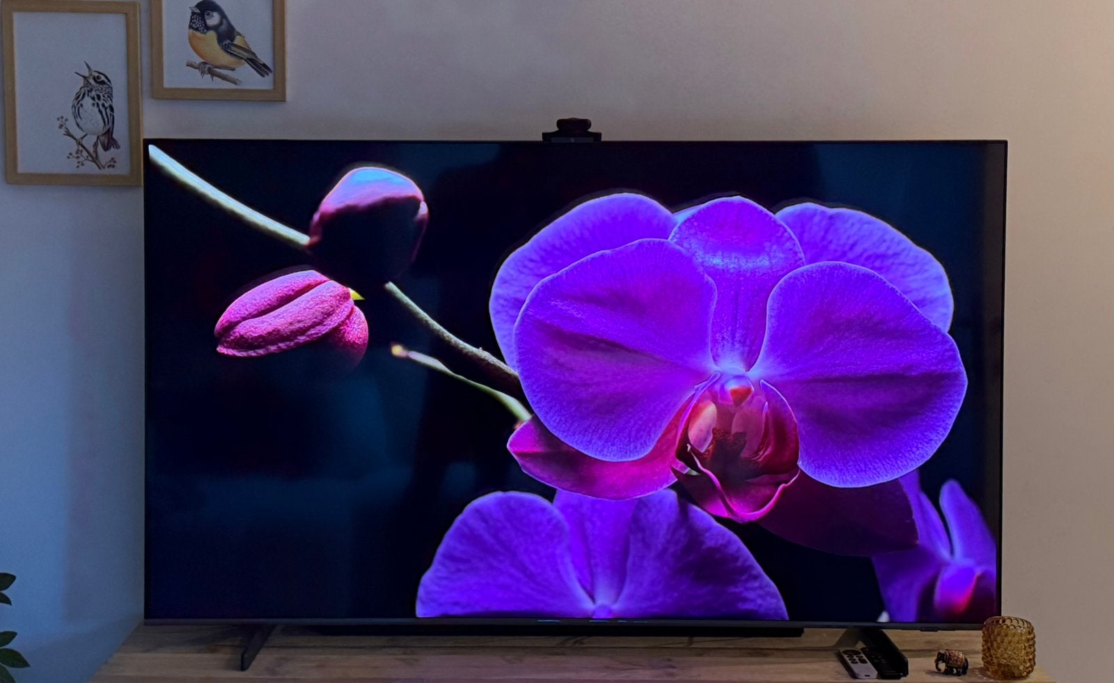 Samsung QLED 4K 65" (2024) - État impec, Audio, Tv en Foto, Televisies, Ophalen, Zo goed als nieuw, QLED, Samsung