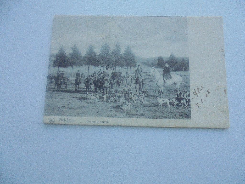 viel-salm - chasse à courre, Collections, Envoi, Avant 1920, Affranchie, Luxembourg