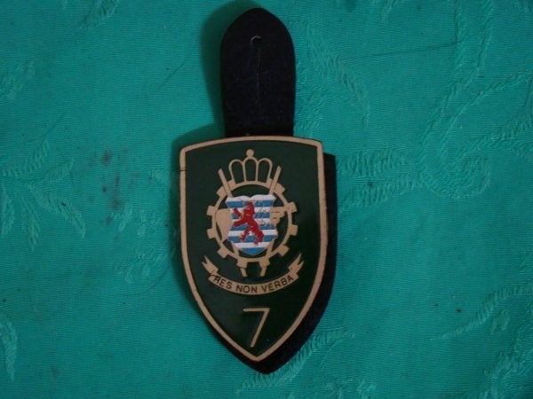 MILITARIA, Collections, Enlèvement ou Envoi, Armée de terre, Emblème ou Badge
