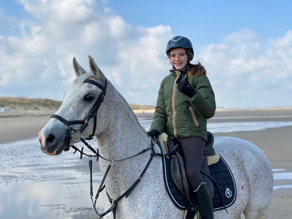 Brave recreatieve merrie, Animaux & Accessoires, Chevaux, Jument, Moins de 160 cm, Cheval de récréation, 11 ans ou plus