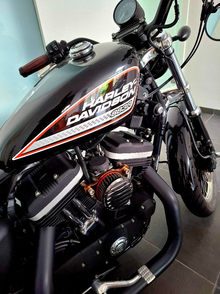 Harley Black R Sport, Particulier