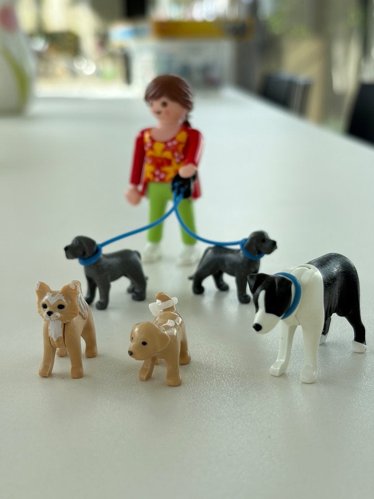 Honden uitlaat Playmobil 5380, Enlèvement, Figurines, Pièces détachées, Family fun