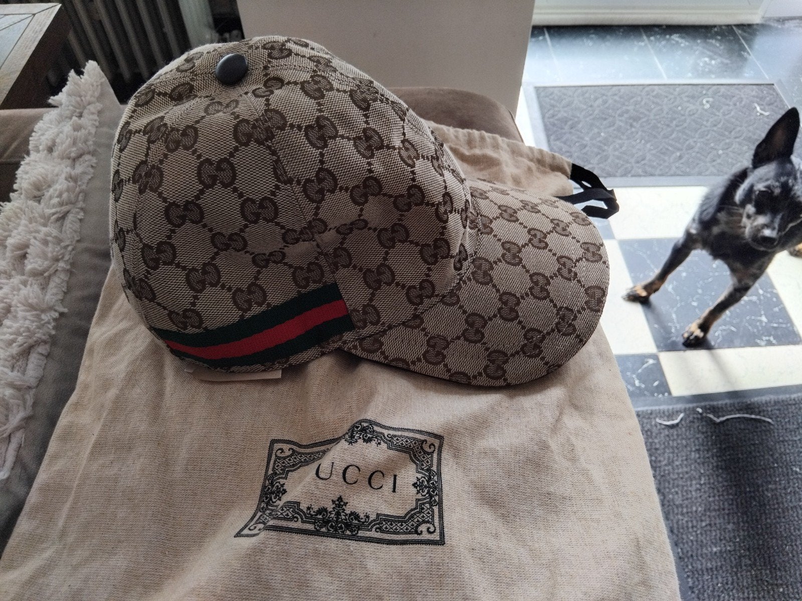 ORIGINELE Gucci Pet, Vêtements | Hommes, Chapeaux & Casquettes, Enlèvement, Comme neuf, Gucci, Casquette