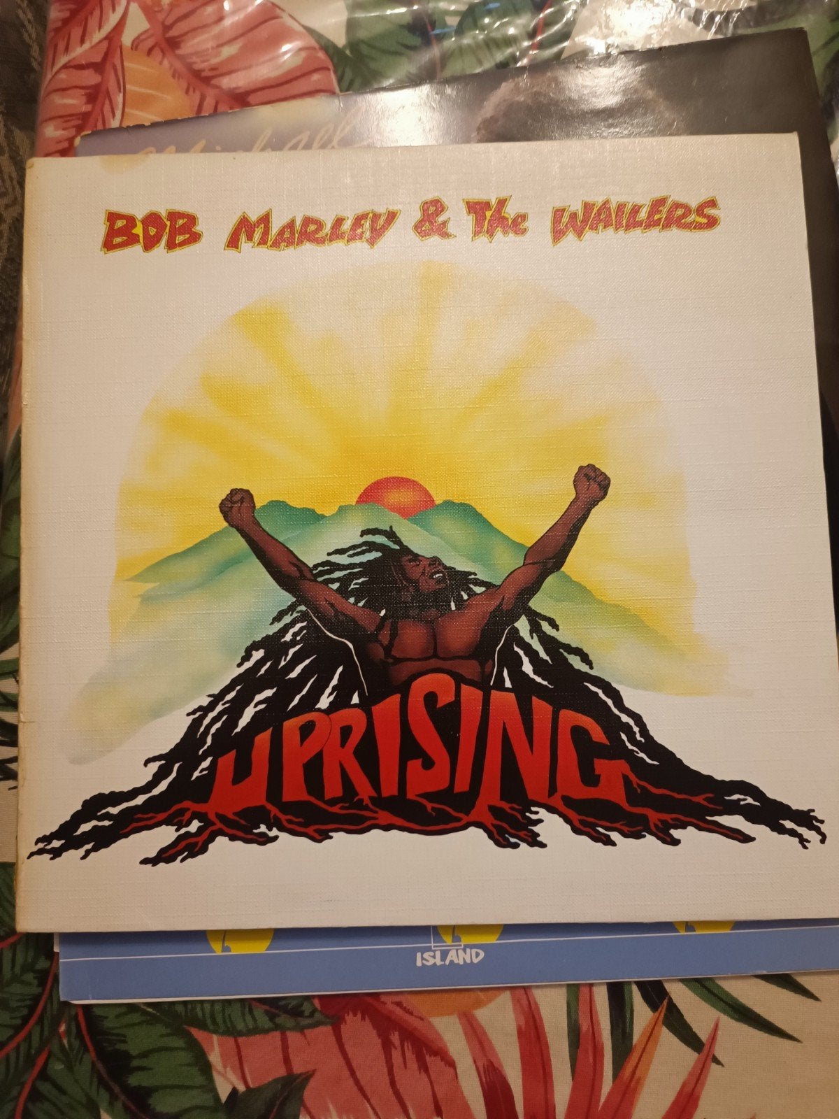 vinyle Bob Marley, CD & DVD, Enlèvement