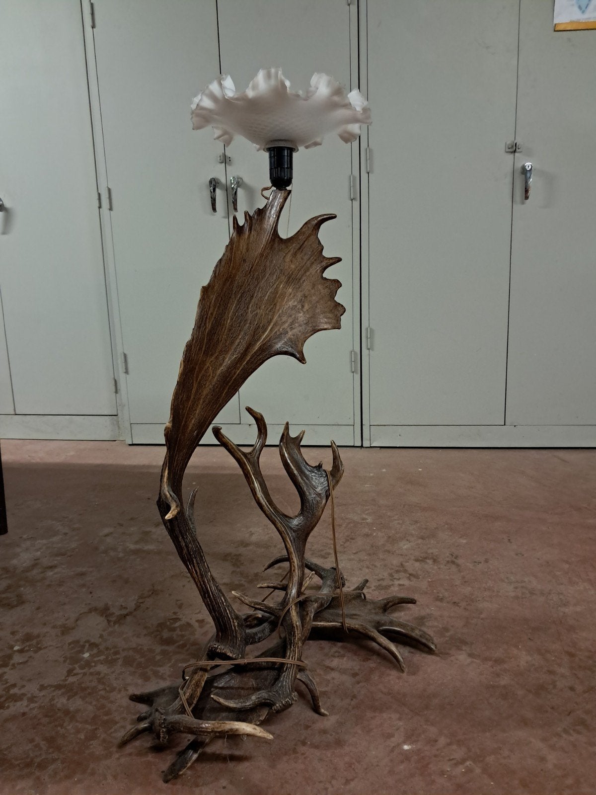 Staande lamp  van hertengewei, Ophalen