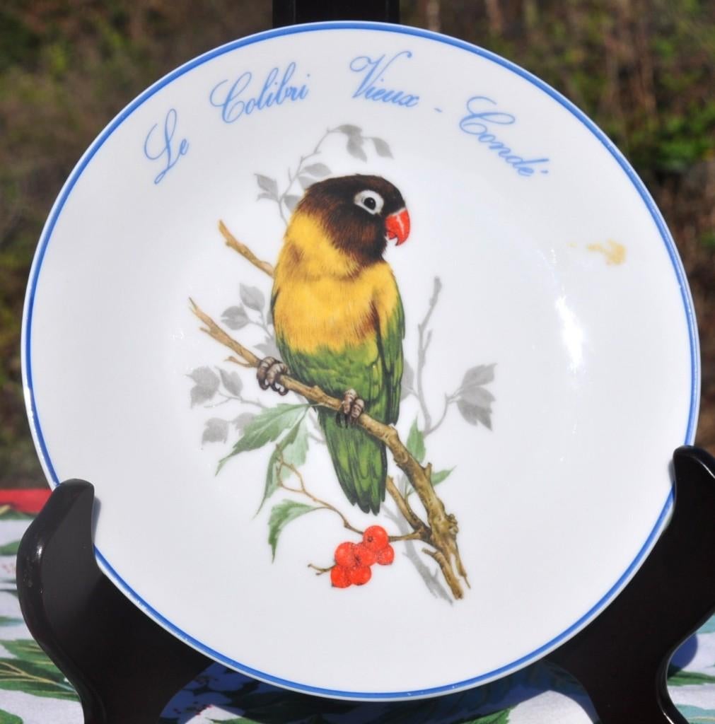 assiette a l'oiseau (4), Enlèvement ou Envoi