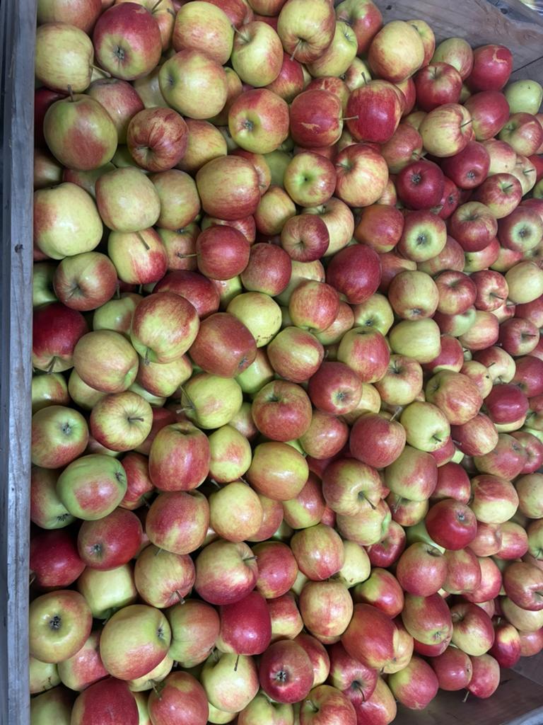Mooi partijtje Appels, Ophalen