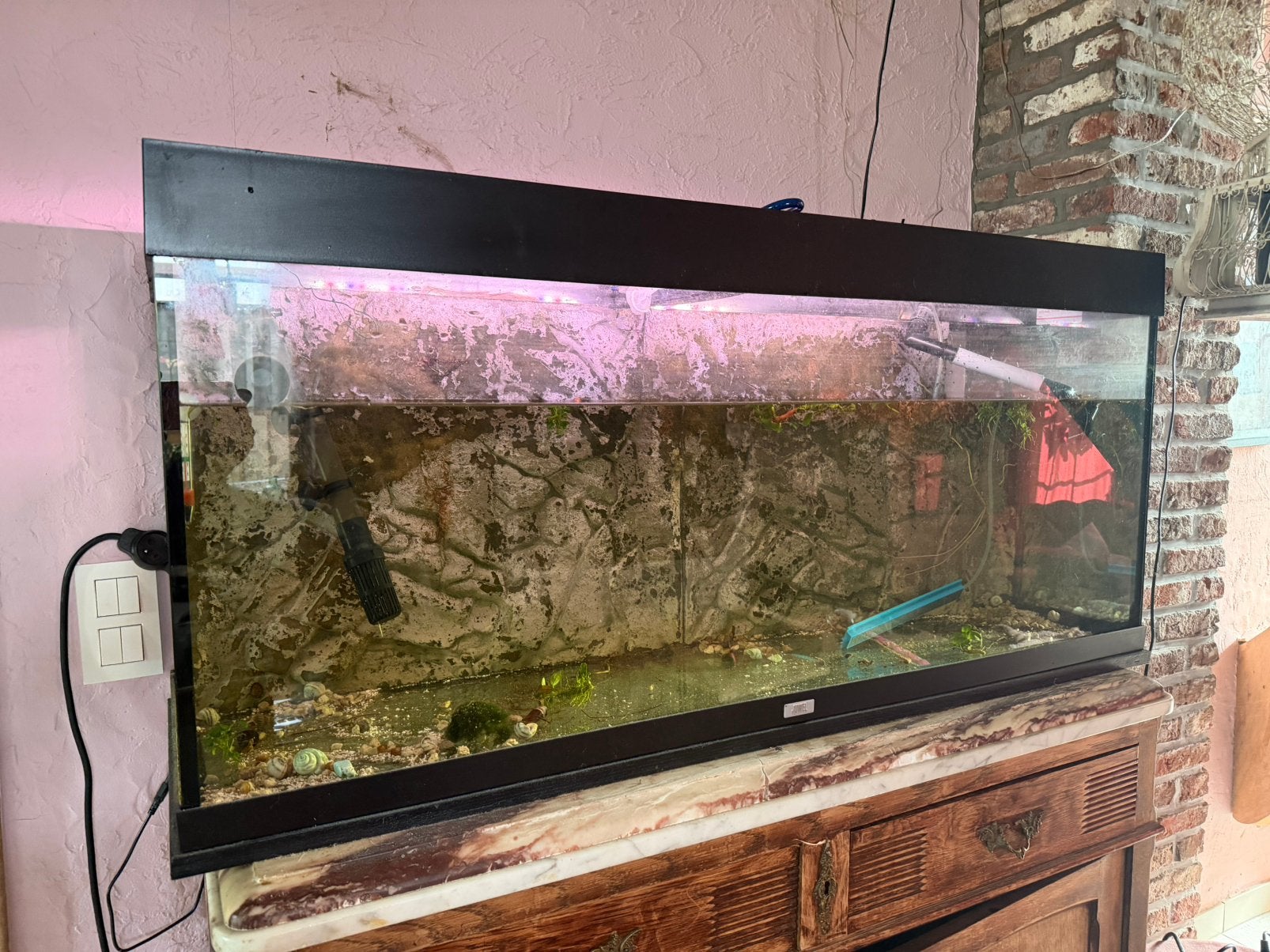 250 liter aquarium, Animaux & Accessoires, Enlèvement, Utilisé, Aquarium vide, Juwel