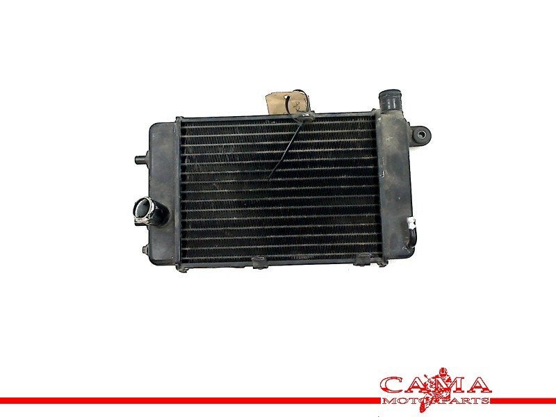 RADIATEUR EAU Aprilia Tuono RSV 1000 (+ Factory), Dhr. S. di Majo, Utilisé, Info@cama-motorparts.nl, P.J. Troelstraweg 8 8
3144 CX  MAASSLUIS, NL