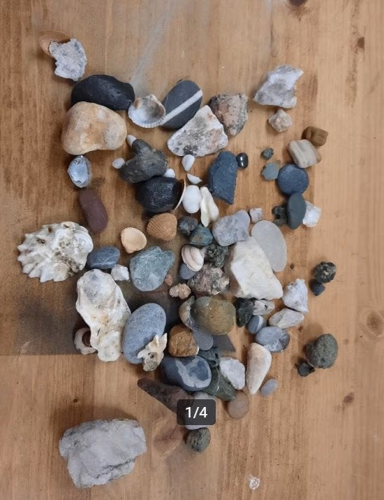 STENEN EN SCHELPEN ZUID-AFRIKA 2018, Verzamelen, Mineralen en Fossielen, Ophalen of Verzenden, Overige typen