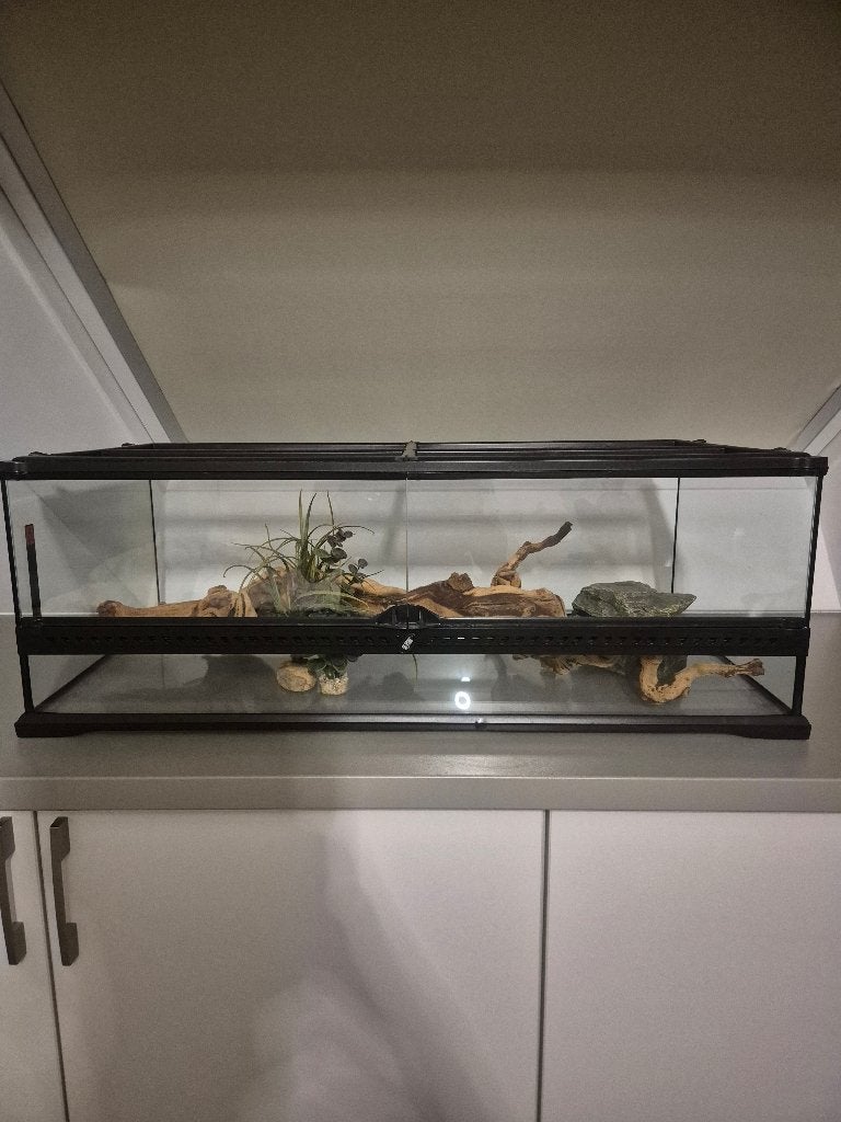 Exo Terra terrarium 90x45x30 cm + decoratie, Animaux & Accessoires, Reptiles & Amphibiens | Accessoires, Enlèvement, Utilisé, Terrarium ou Paludarium