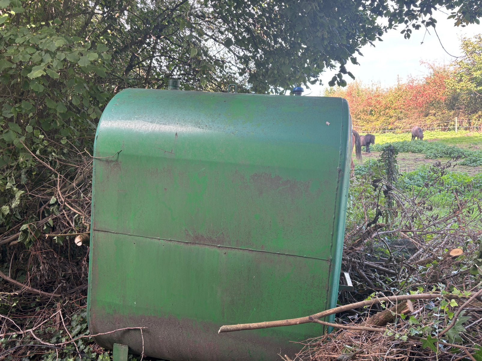 Citerne a mazout 1000L, Enlèvement