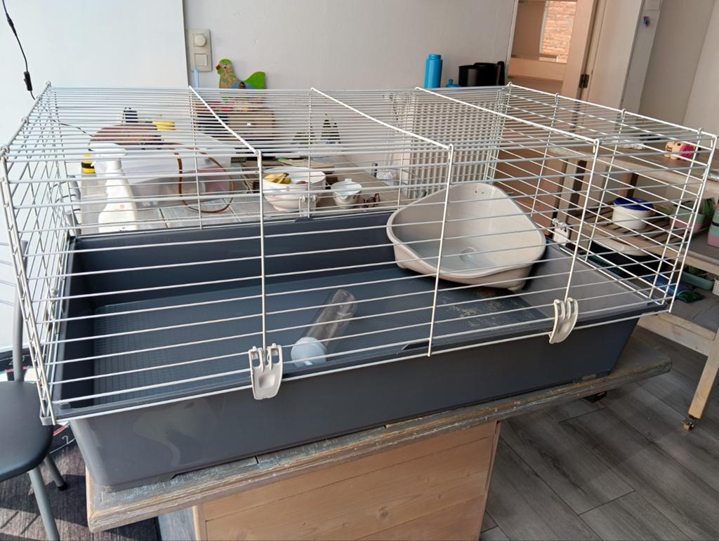 Hok konijn/cavia, Ophalen, Hok, Konijn
