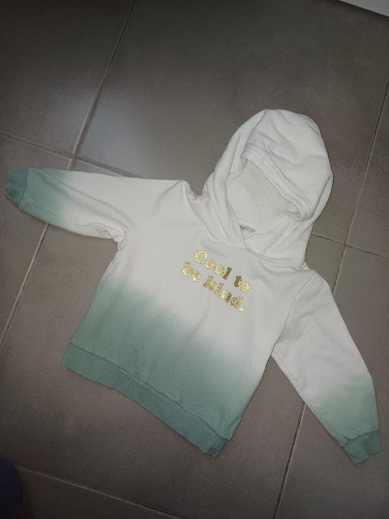 Joli sweat à capuche H&M - taille 98/104, Enfants & Bébés, Vêtements enfant | Taille 98, Enlèvement ou Envoi, Pull ou Veste, H&M