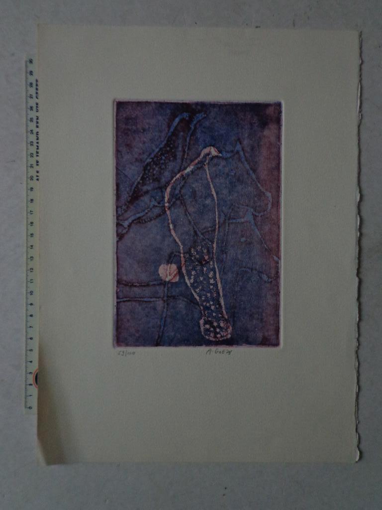 Ets in kleur van André Goezu Vogels en paarden, Antiek en Kunst, Kunst | Etsen en Gravures, Ophalen of Verzenden, Ets, Genummerd