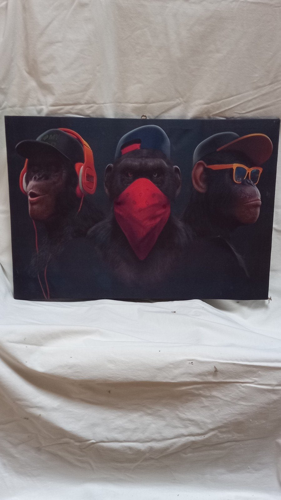 canvas met verlichting, Comme neuf, Enlèvement, 50 à 75 cm, Autres types