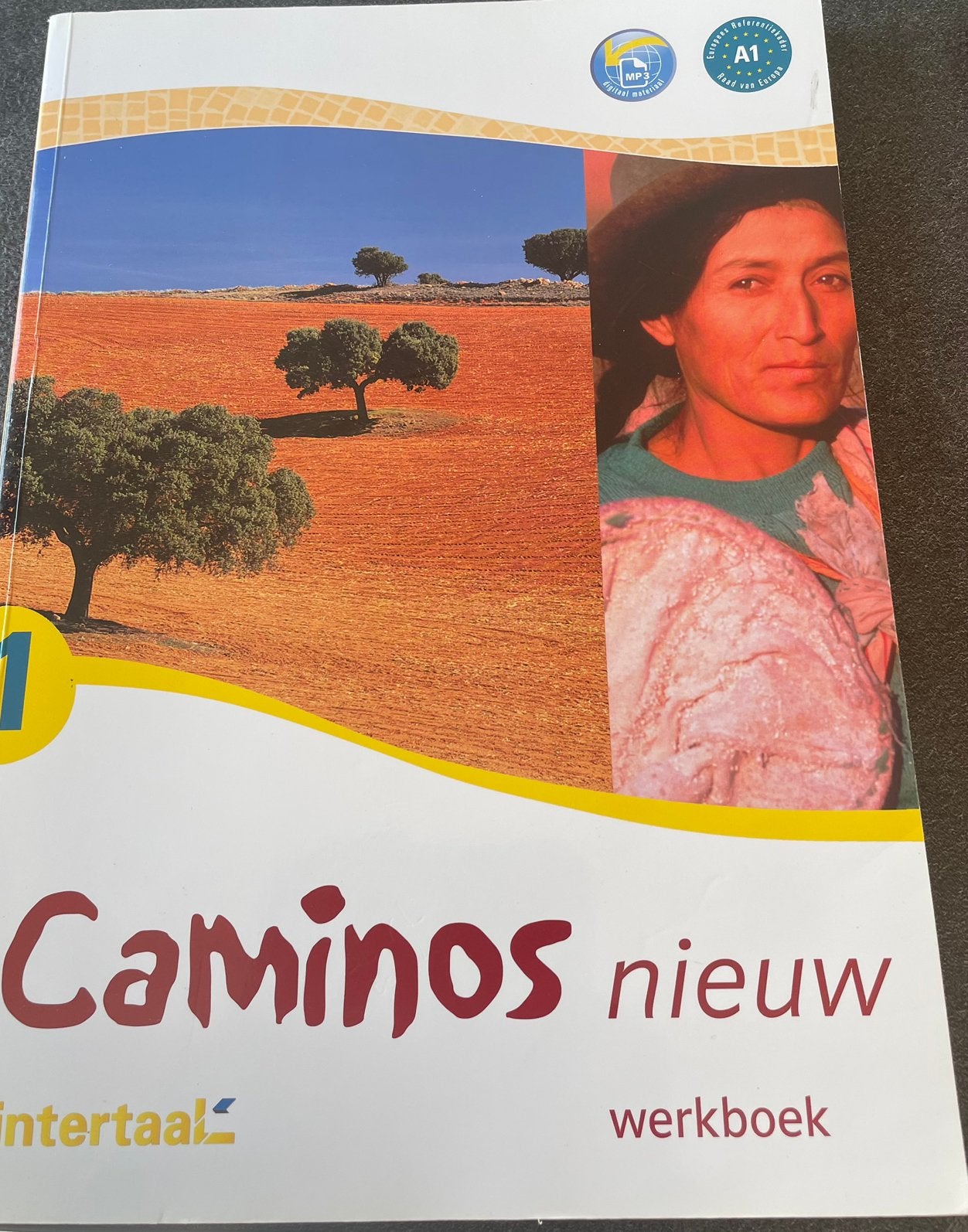 Intertaal Caminos 1 schoolboek en werkboek, Boeken, Ophalen, Zo goed als nieuw