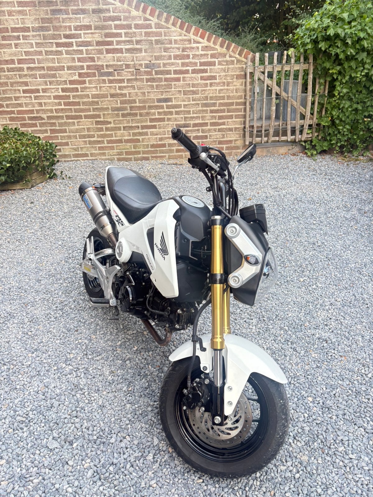 Honda MSX 125 cc, Motos, Particulier