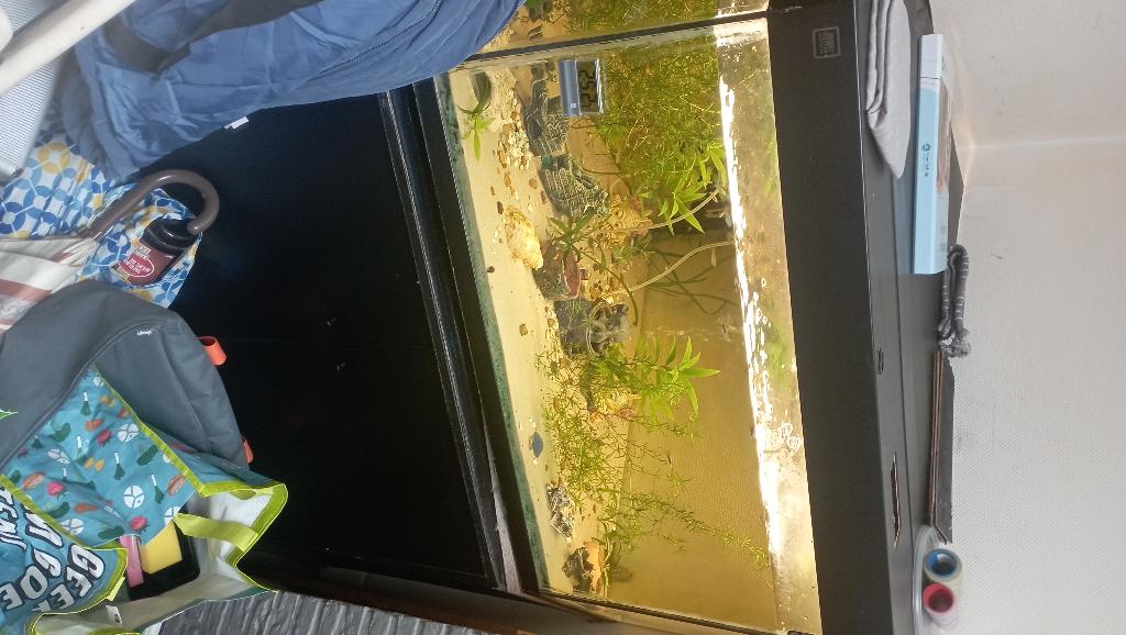 hoek aquarium, Ophalen, Verwarming, Gebruikt, Gevuld zoetwateraquarium