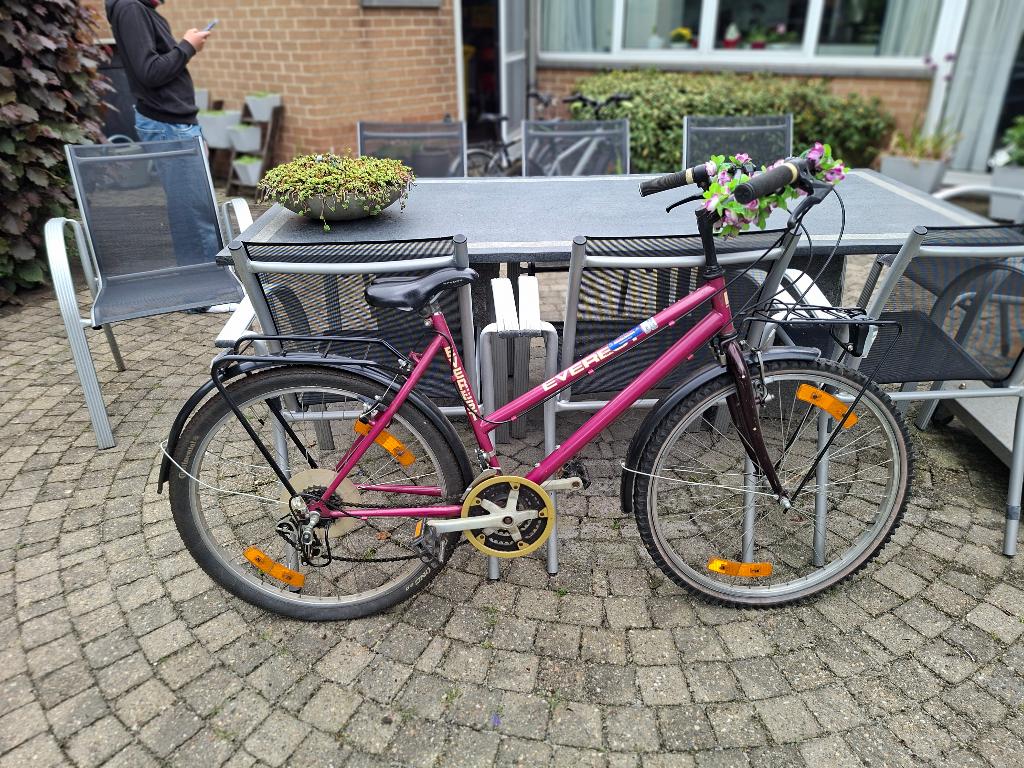 damesfiets, Fietsen en Brommers, Fietsen | Dames | Damesfietsen, Gebruikt, Velgrem, 47 tot 50 cm, Versnellingen