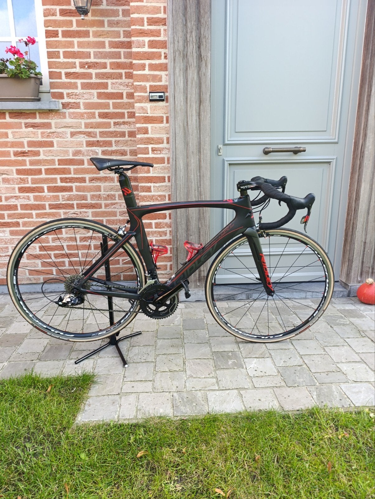 ridly noha, Ophalen, Carbon