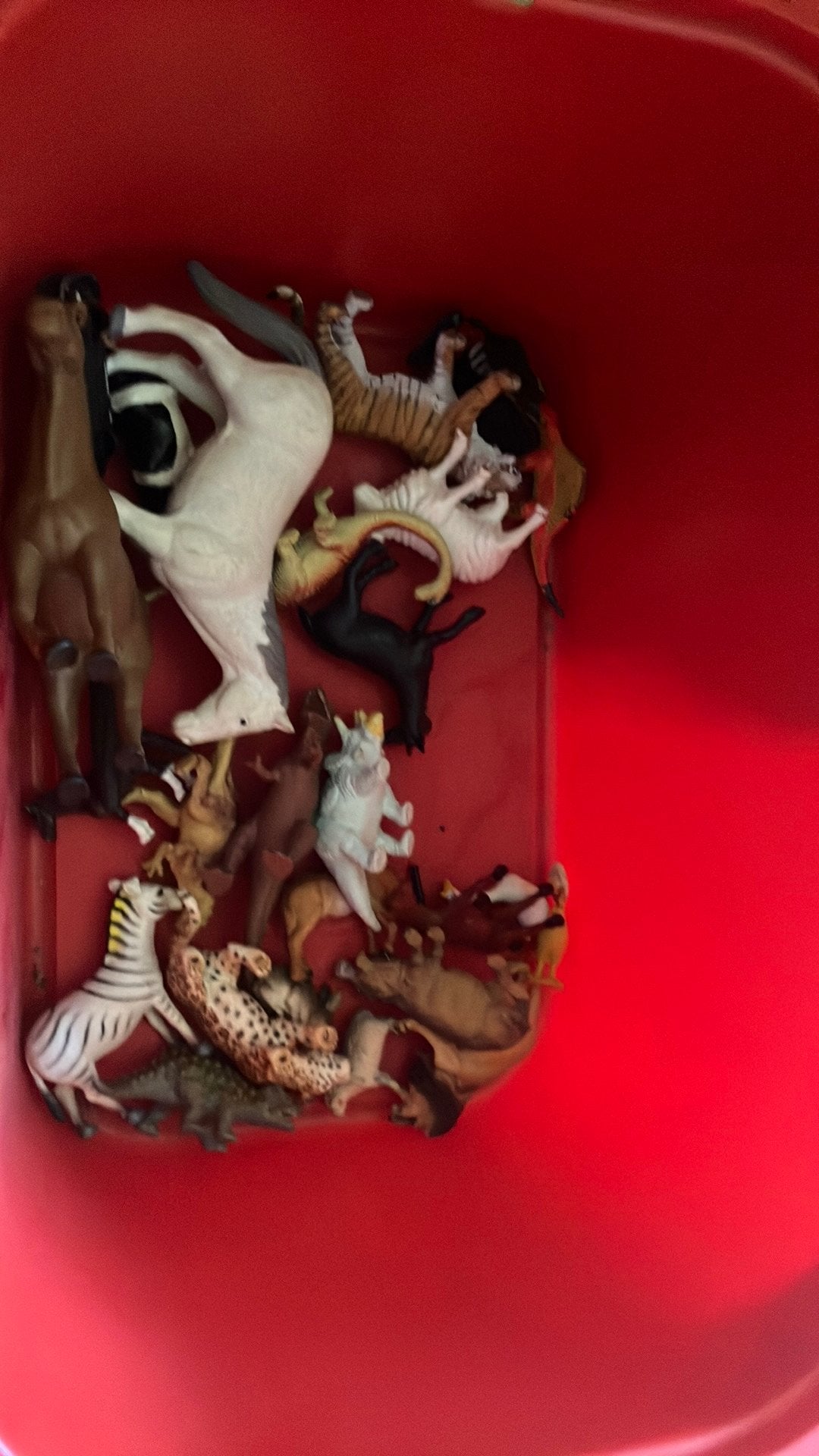 jouets pour animaux pour zoo, Enfants & Bébés, Enlèvement, Comme neuf