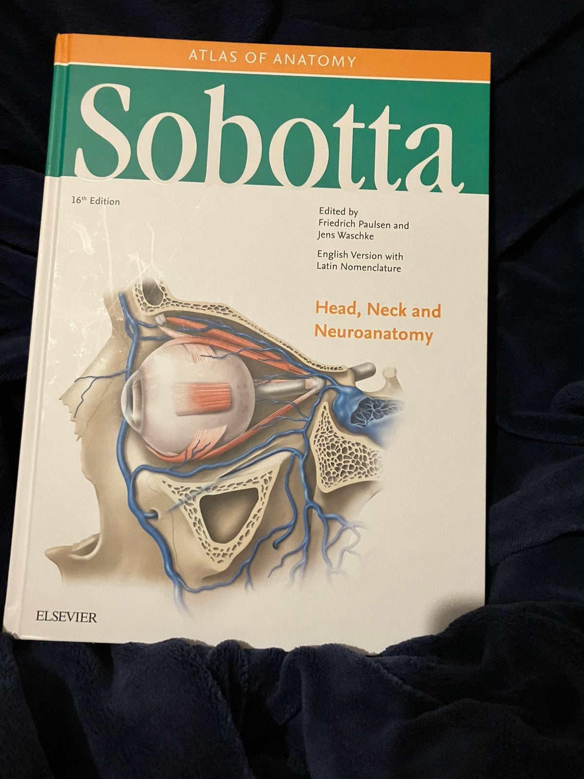 16e édition d'anatomie de Sobotta, Enlèvement ou Envoi, Comme neuf, Autres sciences