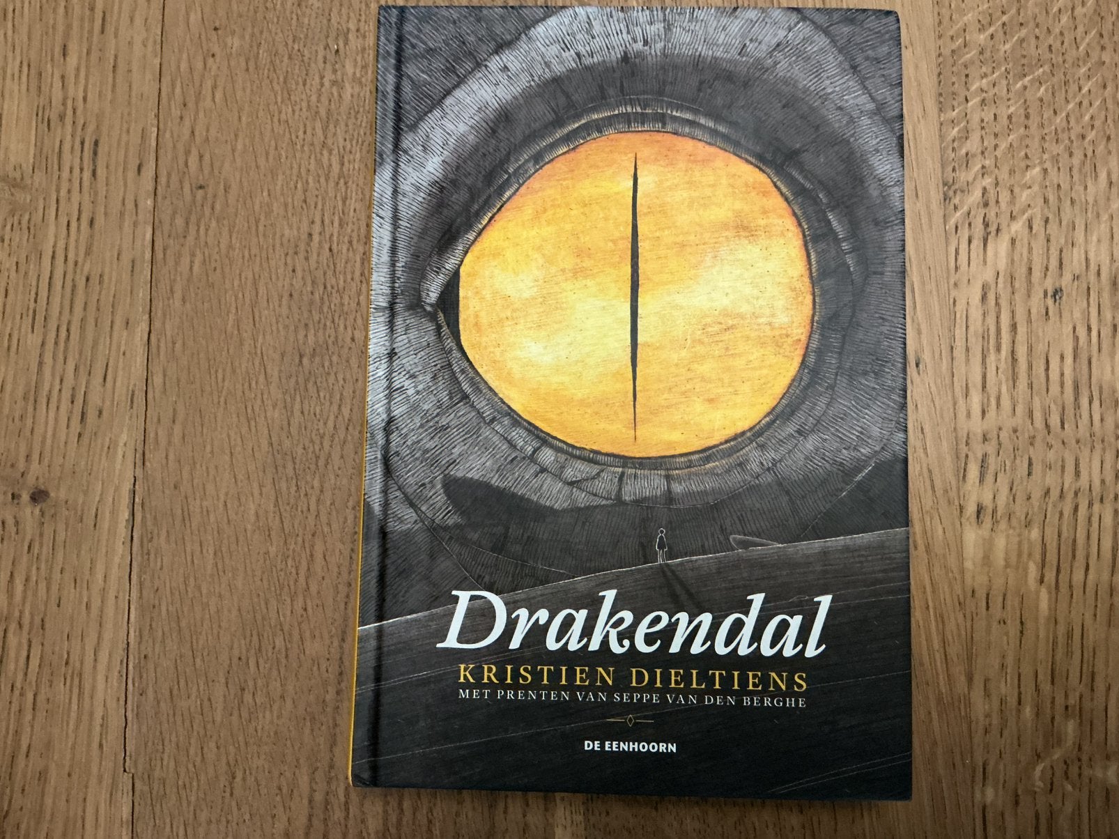 Kristien Dieltiens - Drakendal - verzenden mogelijk, Ophalen, Zo goed als nieuw, Kristien Dieltiens; Seppe Van den Berghe
