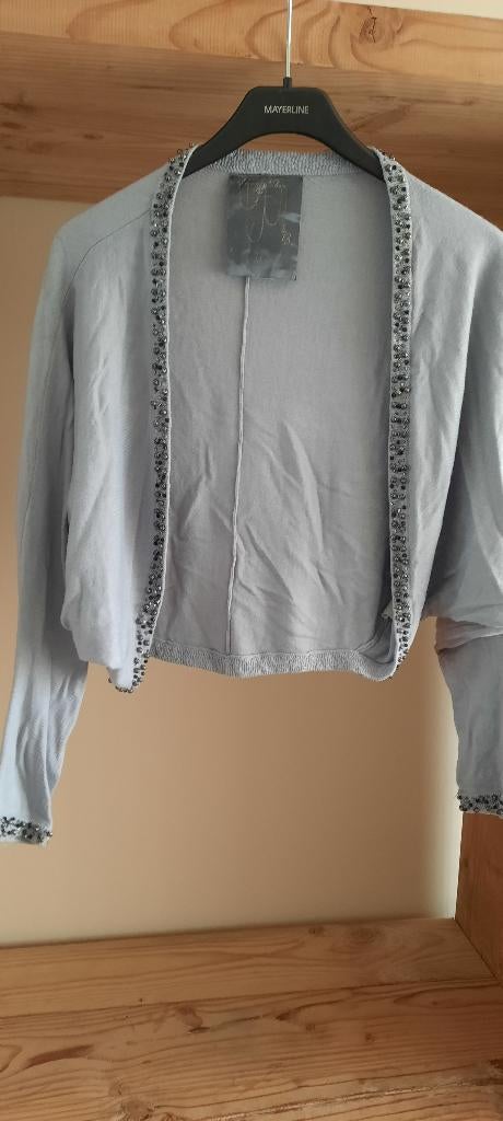 Mooi truitje Pepe Jeans maat L, Pepe Jeans, Ophalen of Verzenden, Zo goed als nieuw, Maat 42/44 (L)