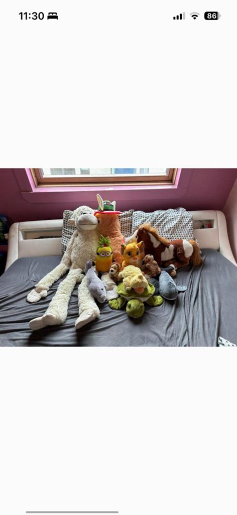 Gratis knuffels