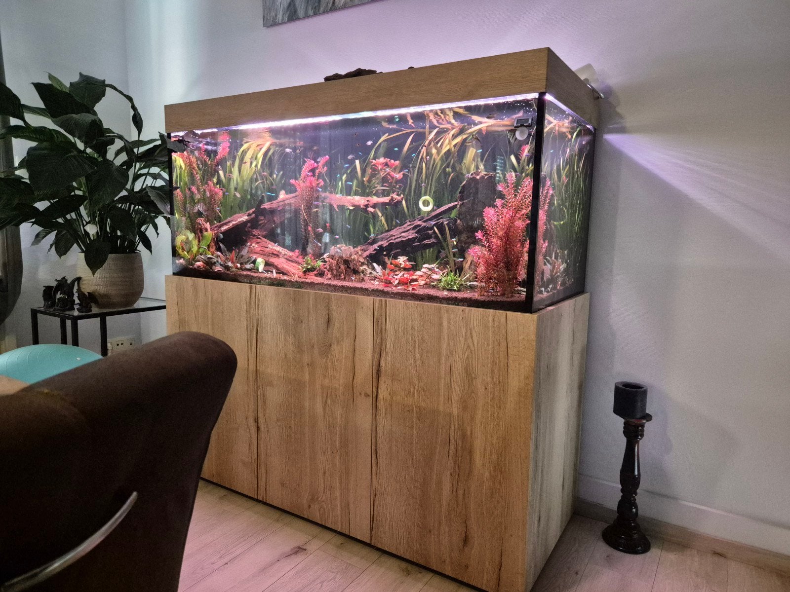 Aquarium met meubel, Ophalen, Verwarming, Chihiros, Gevuld zoetwateraquarium
