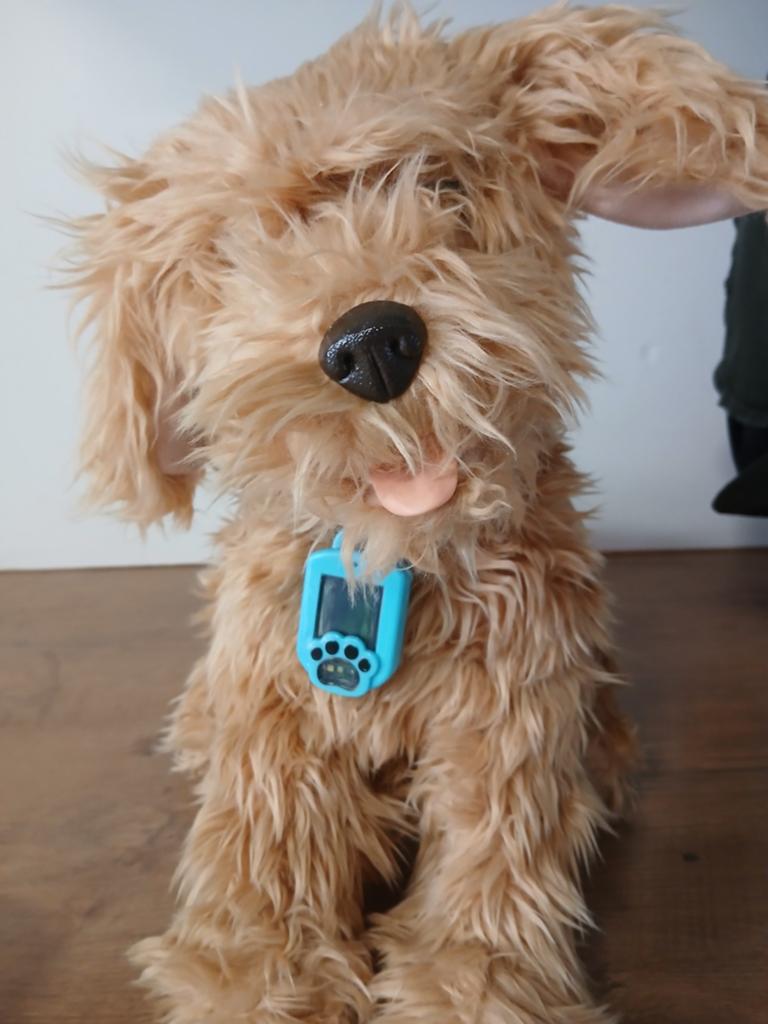 Mojo spelende hond, net echt! Nieuwstaat!, Enlèvement