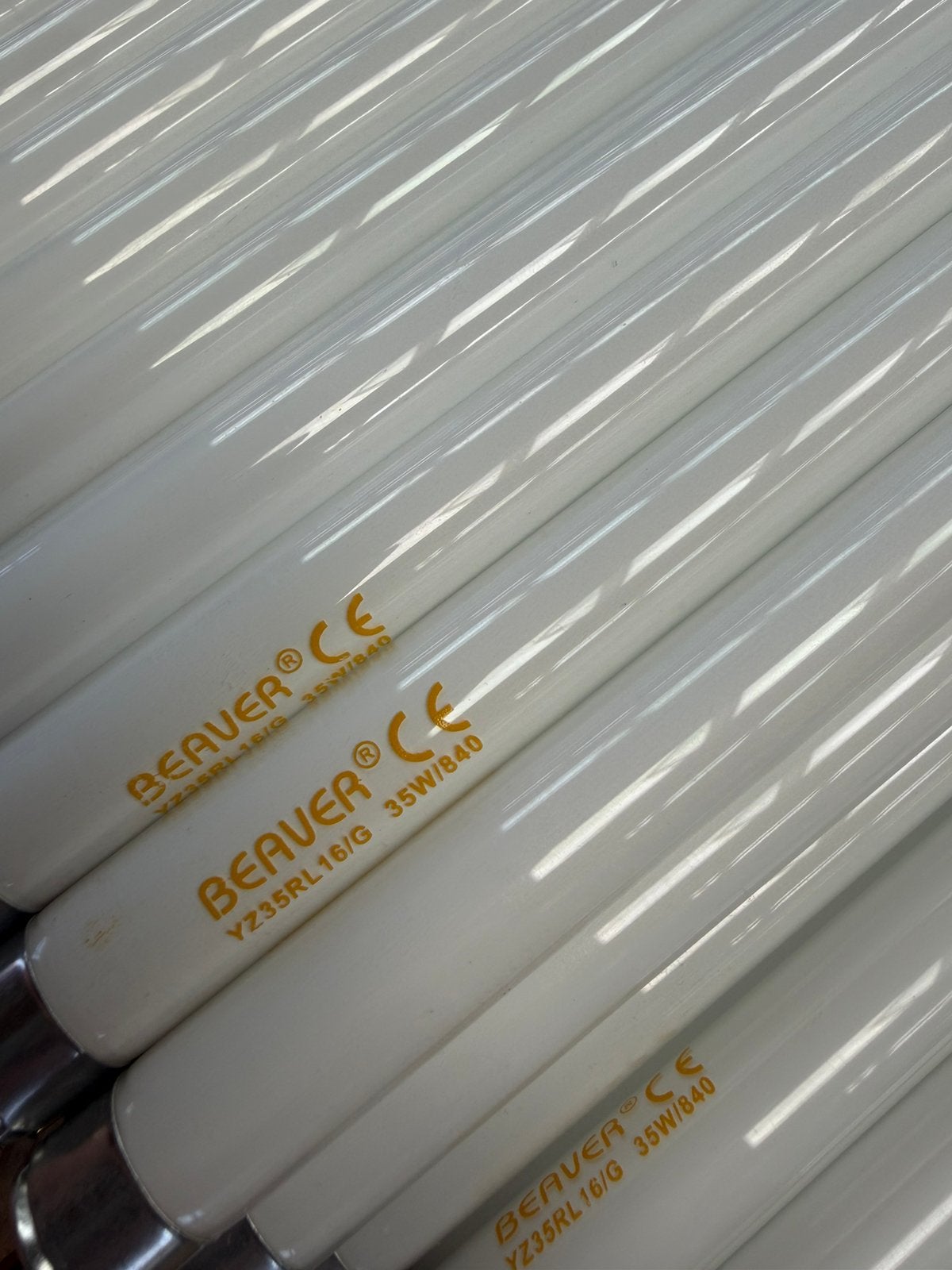 T5 lampen, Neuf, Autres culots, Blanc froid, Tube fluorescent