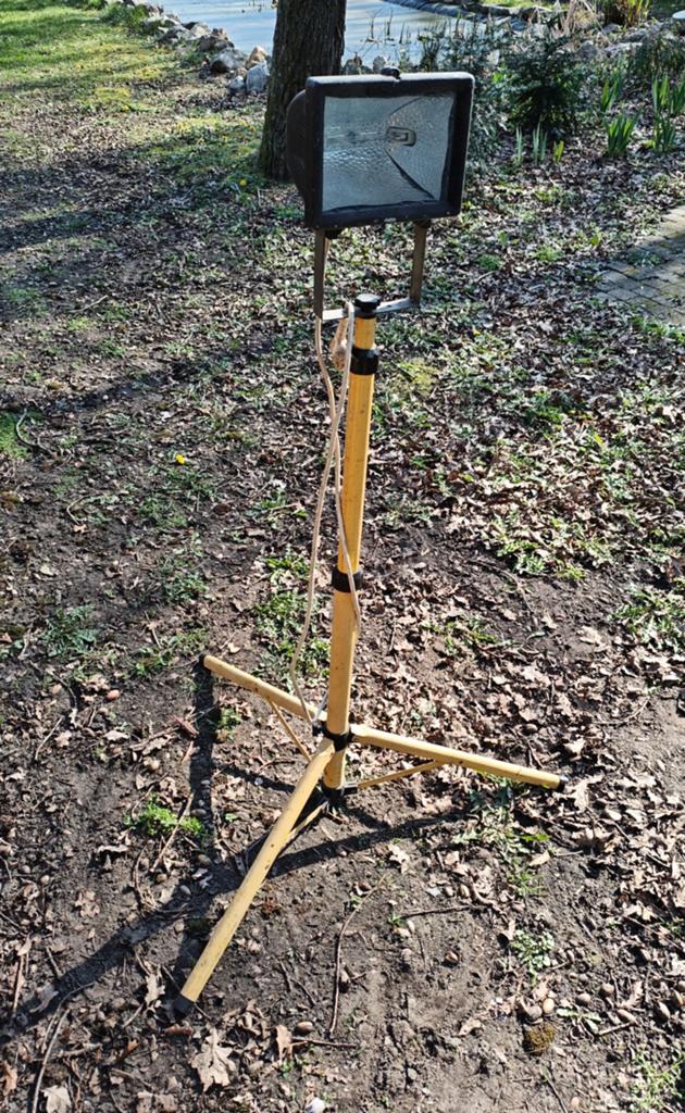 Halogeen lamp op statief, Doe-het-zelf en Bouw, Ophalen, Gebruikt, Lamp, Met statief
