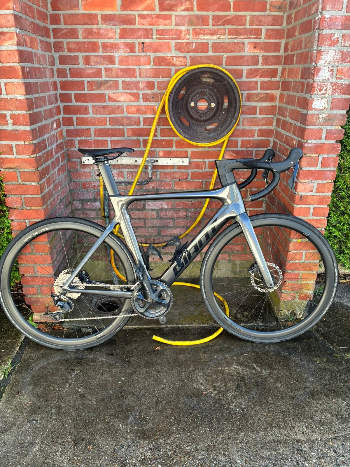Giant Propel Advanced maat M, Ophalen, Gebruikt, Heren, Giant