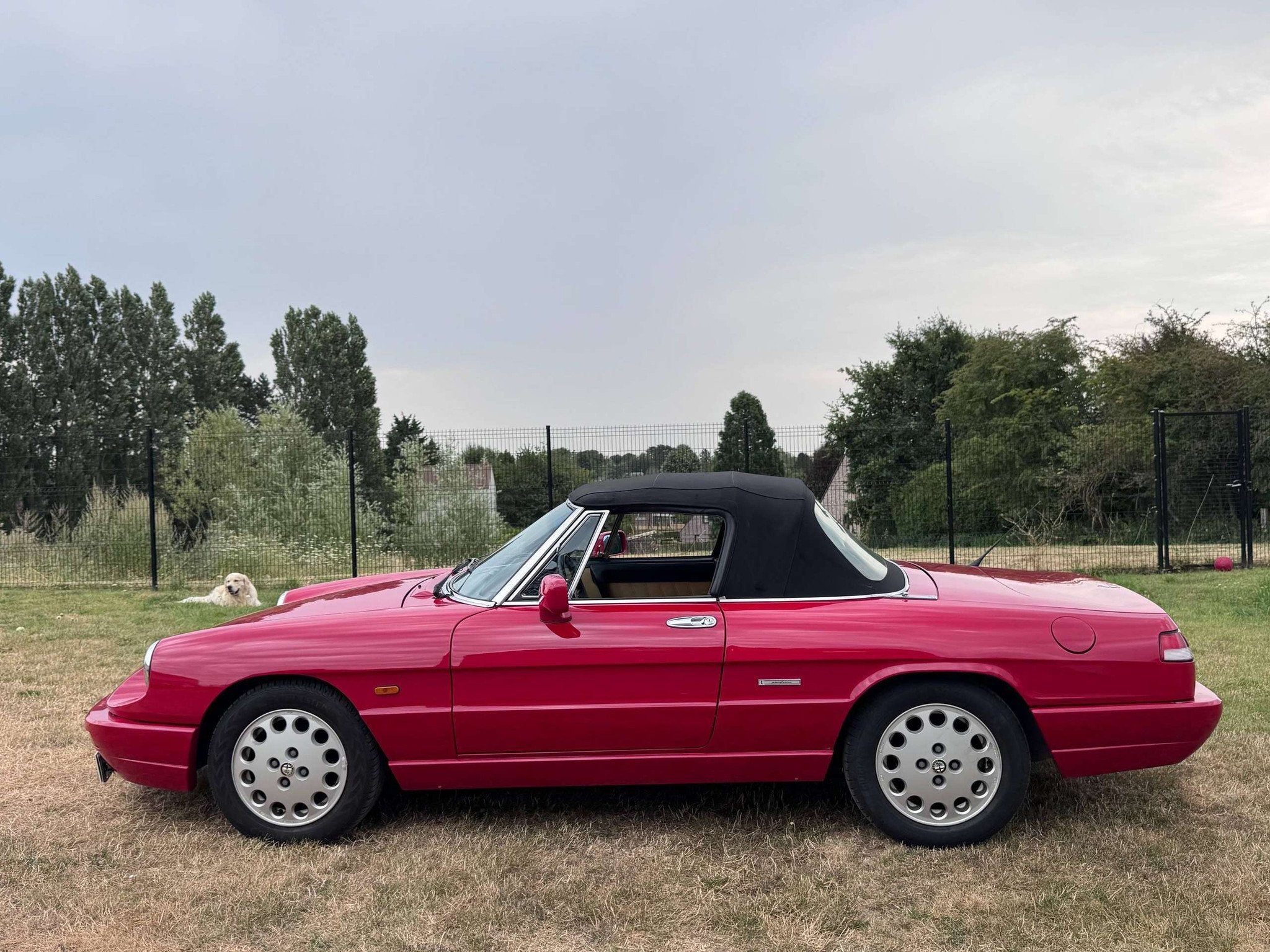 Alfa Romeo Spider SPIDER EUROPA FL90 2.0L 126 CV (bj 1990), foto 9